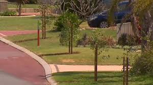 A verge planted with native ground covers is far more attractive than lawn or synthetic grass and actually becomes an extension of your liveable area. Residents Angry After Council Rips Up Turf And Paving To Plant Verge Trees