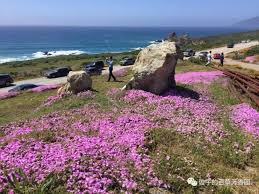 空中璇子 文学城博客 natural landmarks nature outdoor