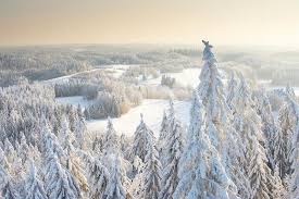 Find out more about corruption in estonia: Estland Winterreise Vom Feinsten Geo
