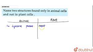 The two cellular structures found in animal cells but not in plant cells are the centrosome and the lysosome. Name Two Structures Found Only In Animal Cells And Not In Plant Cells Youtube