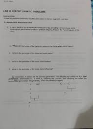 Check spelling or type a new query. Bio Dr Joanna Lab 12 Report Genetic Problems Chegg Com