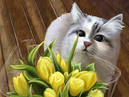 Although tulips may indeed be pretty as a picture, the possible effect they may have on cats is anything but. Hd Wallpaper Cat Bouquet Tulips Wallpaper Flare