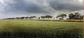 Groningen Landschap 2 Landscape Landschappen The Netherlands Holland Nederland Netherlands Groningen En Holland