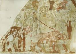 The Elephants of the Orontes