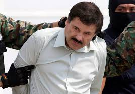 Luis counts his net worth at a sum of $14 million in early 2016, as calculated by sources. El Chapo Earned 12 666 181 704 Prosecutors Say They Want Him To Pay It Back The New York Times