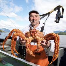 Omega 3 fatty acids, that help reduce risk factors for heart disease, including high cholesterol and hypertension. Live Alaskan King Crab Hong Kong Online Seafood Sonatural Hk