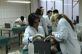 Estudiantes internacionales tienen acceso a la misma ayuda financiera que sus compañeros estadounidenses, sin importar su estado de ciudadanía. Estudiantes De Medicina Atienden Solos A Pacientes Covid