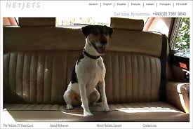 NetJets Europe Private Jet Card Web spot