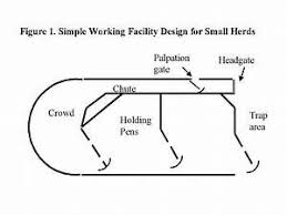 Beef Cattle Working Facility Designs Joy Studio Design Cattle Corrals Cattle Ranching Cattle