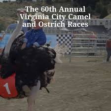 Virginia city bed and breakfast. Camel Racing In Virginia City Nevada