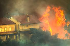 Check spelling or type a new query. Incendios Autarca De Pedrogao Grande Critica Pessima Investigacao Sobre Reconstrucao De Casas Jornal Mundo Lusiada