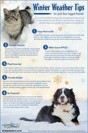 Cold Weather Safety Tips For Pets Pet Safety Pets Pet Life