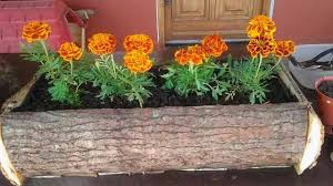 .di botol (terbalik) berkreasi dengan bunga krokot, ada banyak cara untuk tanam krokot, mossrose, bunga pukul 9, bonsai krokot salah satunya di bunga krokot warna warni bikin ngiler | koleksinya terbaru puspa krokot 85 varian berbagai jenis tanaman gantung cara mebuat bunga. Membuat Tempat Tidur Bunga Di Dekat Kelompok Di Taman Kanak Kanak Membuat Tempat Tidur Bunga Dengan Tangan Anda Sendiri Proyek Desain Grup Senior Tempat Tidur Bunga Baru Kami