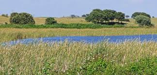 According to the 2010 census (ine), it has a population of 859 inhabitants. Ornitologicamente Muy Interesante Opiniones De Viajeros Sobre Reserva De Arrocampo Caceres Tripadvisor
