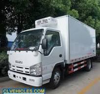 Isuzu 4X2 Light Duty Refrigerated Cargo Box Van Freezer Truck