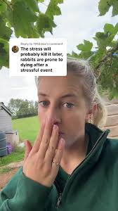 Understanding Equine Care and Equestrian Life