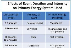 the four foundations of tactical fitness tactical strength