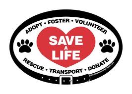 Offering shelter and care to as many homeless and unwanted pets as possible. Save A Life Euro Pet Magnet