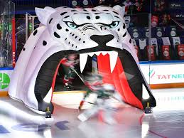 Своеобразные предпочтения снежных барсов затрудняют их изучение: Rasskazhem Podrobno O Salavat Melko Narublennyj Pochemu Ak Bars Legko Unichtozhil Ufu V Pervom Matche Tnv Ru