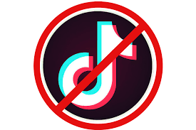 India And Usa Clamp Down On China S Tiktok App Government Civil Service News
