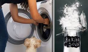 To start you have to turn on your machine and program a long cycle but without using detergent and without putting clothes in it. How To Clean Rubber Seal On Your Washing Machine Easy Baking Soda White Vinegar Method Express Co Uk