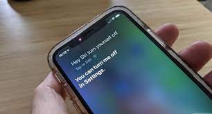 Desde la llegada de siri a ios con el lanzamiento del iphone 4s, muchos han sido los usuarios que únicamente han utilizado al asistente personal de apple para hacerle preguntas absurdas ya la utilidad real de este asistente siempre ha. Las Preguntas Para Siri Mas Originales Y Divertidas Digital Trends Espanol