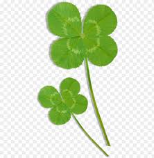 Clover Clipart 4 Leaves Four Leaf Clover Watercolor Clip Art Png Image With Transparent Background Toppng