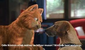 Garfield Kedi Komik Resimler