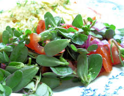 Put the purslane in a large bowl and drizzle with olive oil and yogurt. Winter Warm Days And Wild Purslane Salad With Olive Oil And Lemon Dressing Lavender And Lovage