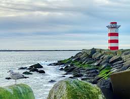 Uitwaaien Op De Noordpier In Wijk Aan Zee Is Het Nog Ver