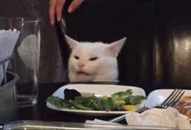 Cat Eating Salad Blank Template Imgflip For when you need a meme generator. imgflip