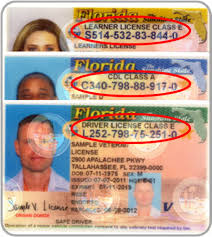 Employee identification card issued by any branch, department, agency, or entity of the federal government, the state, a county, or a municipality. Https Www Uscis Gov Sites Default Files Uscis Verification E Verify E Verify Native Documents Florida Ride Fact Sheet Pdf