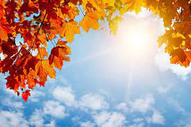 September is the ninth month of the year in the julian and gregorian calendars, the third of four months to have a length of 30 days, and the fourth of five months to have a length of fewer than 31 days. Was Kann Man Vom September Alles Erwarten Wetterkanal Vom Kachelmannwetter Team