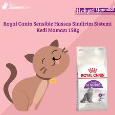 Kedi Mamasinda Bol Cesit Ve En Kaliteli Markalar Evcilbesinleri Com Da En Kolay Alisveris Evcilbesinleri Com Da Evcilbesinleri Iman Evcil Hayvanlar Kedi