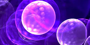 A cell contains the genetic material that supplies the coded instructions for the manufacture of a new cell, as well as the other materials necessary for the cell's. Entwicklung Von Zelllinien Einzelzellsortierung Molecular Devices