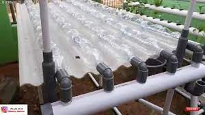 Hydroponik Sistem Dft Dari Botol Mineral Bekas Youtube Aquaponics Hydroponics Diy Hydroponics