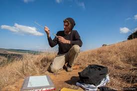 Image result for Memecylon afroschismaticum