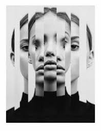 David Plas (davidplas)