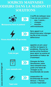 Sources Mauvaise Odeur Maison Comment Desodoriser Interieur En 2020 Mauvaise Odeur Odeur Nettoyage Tapis