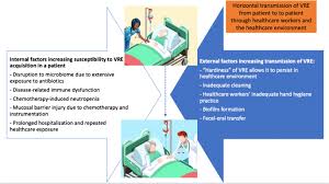 Image result for Vancomycin Resistant Enterococcus