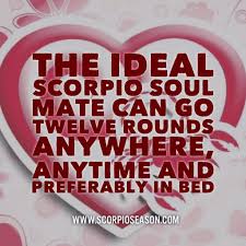 the ideal scorpio soul mate can go twelve rounds anywhere anytime and preferably in bed scorpio love scorpio scorpio zodiac facts
