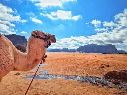 Wadi rum is an enchanting landscape that you really need to try at least once in your life. Backpacking In Wadi Rum Desert On A Budget Planet Of Adventures