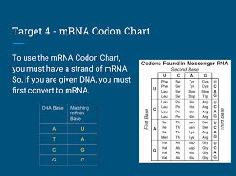 target 4 mrna codon chart