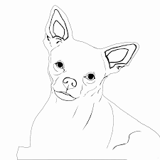 Enjoy our free coloring pages! Chihuahua Coloring Pages Dibujo Para Imprimir Chihuahua Coloring Pages Dibujo Para Imprimir Dibujo Para Imprimir
