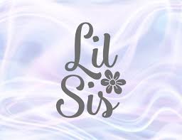Download Siblings Svg Lil Sis Big Little Sorority New Baby Girl Onesie Sister Outfit T Shirt Svg Files For Cricut