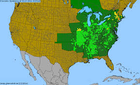 Image result for Millettia sp. B (Fanshawe 8569)