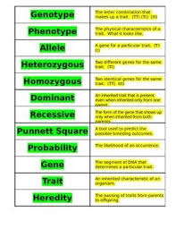 Genetics And Heredity Vocabulary Sort Biology Lessons Science Biology Biology Classroom