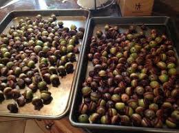 Place your acorns in the preheated oven. How To Clean And Dry Acorns For Decorating Acorn Decorations Dried Acorns Acorn Crafts