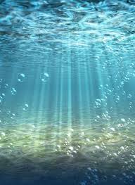 Underwater Water Bottom Seabed Ocean Blue Wall Mural Pixers We Live To Change Ocean Mural Ocean Wallpaper Wall Murals