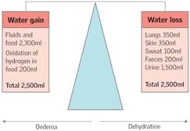 What is the difference between the patient's intake and output above? The Importance Of Fluid Balance In Clinical Practice